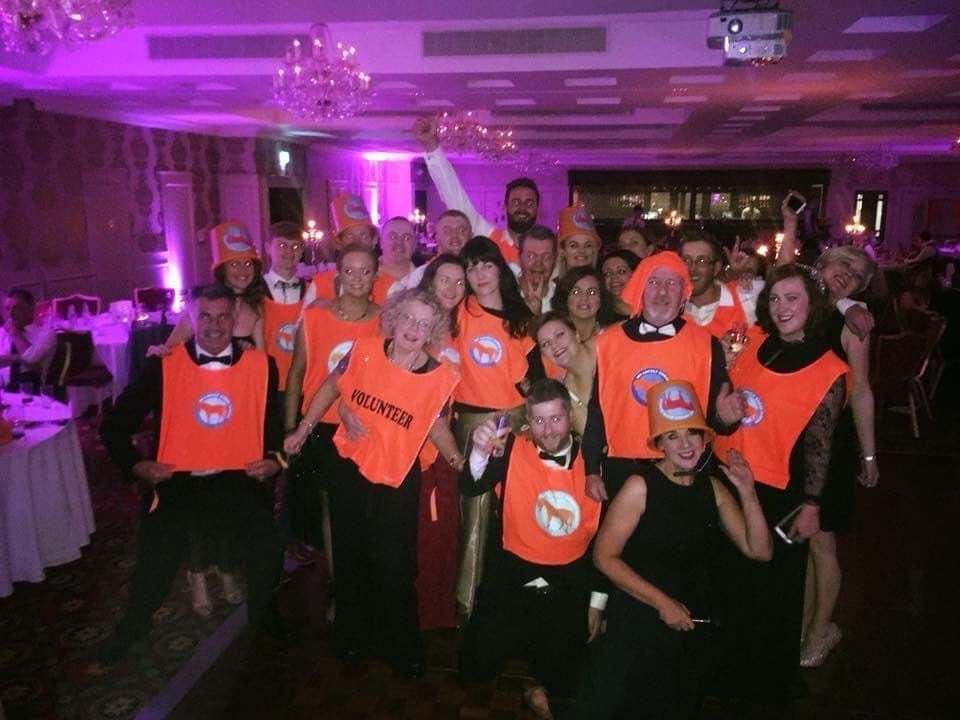 MLHR ball 2017