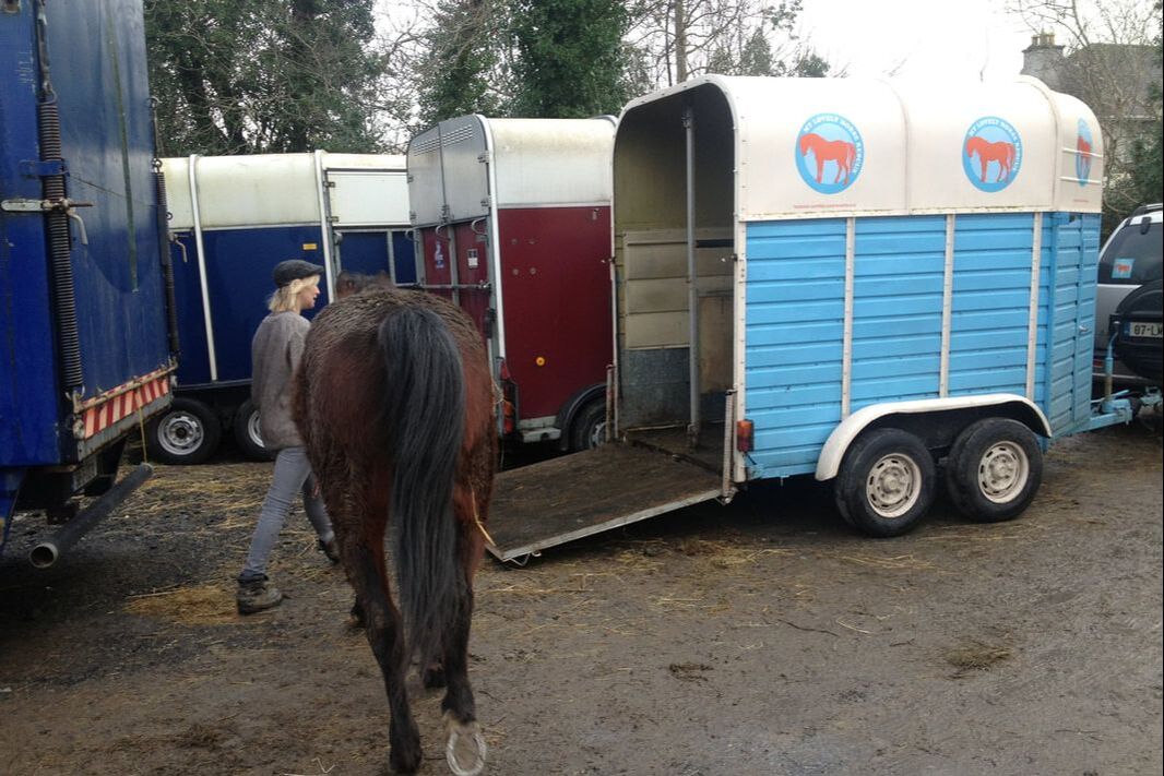 MLHR our first horsebox 2