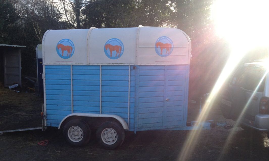 MLHR our first horsebox