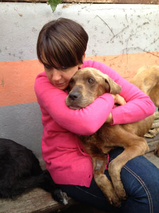 MLHR saving Rosie 2013
