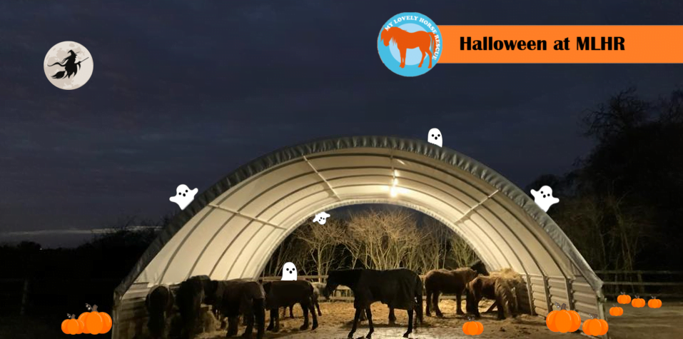 Halloween at MLHR