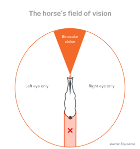 Equisense Vision