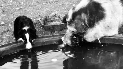 IMG-20211031-WA0000