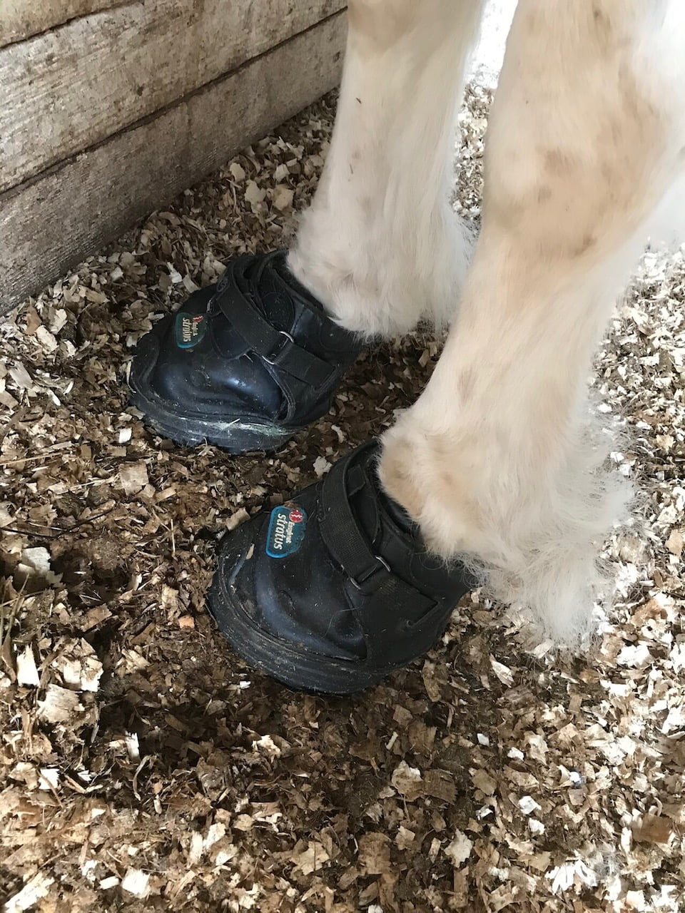 Lee'sBoots