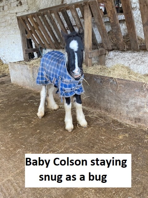 BabyColson