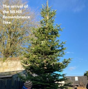 New Rem Tree