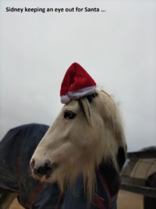SidneySanta