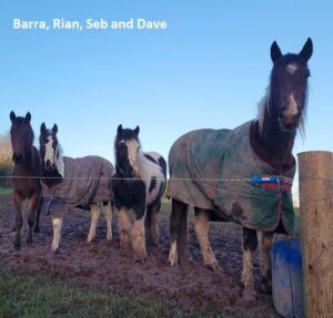 Barra, Rian, Seb and Dave at MLHR Cork