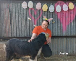 Austin
