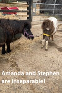 Amanda and Steven