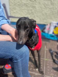 Adoption Day