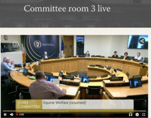 Oireachtas