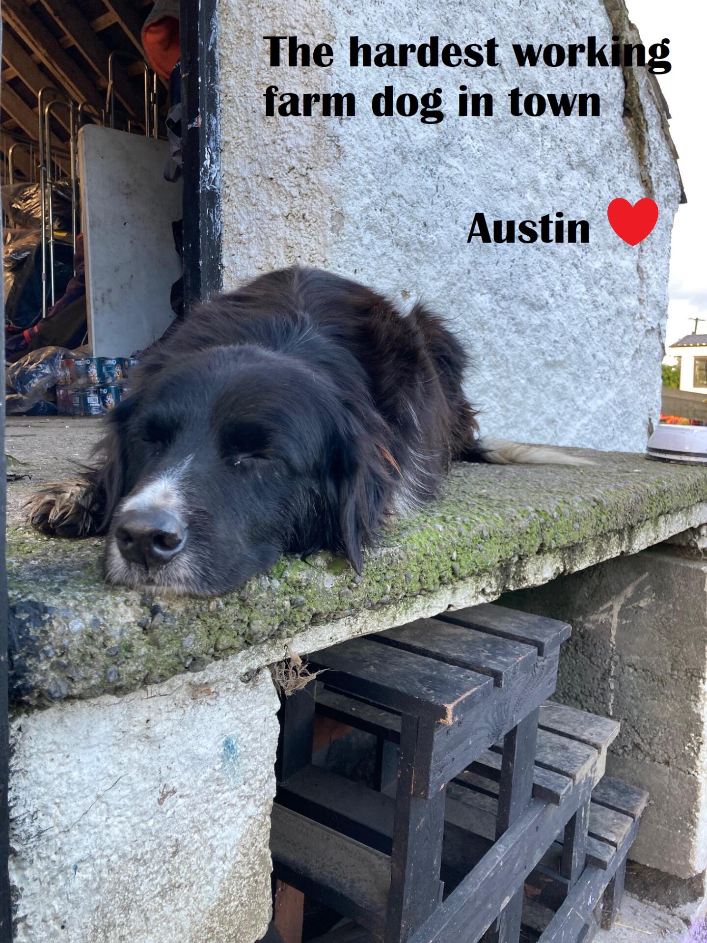 Austin