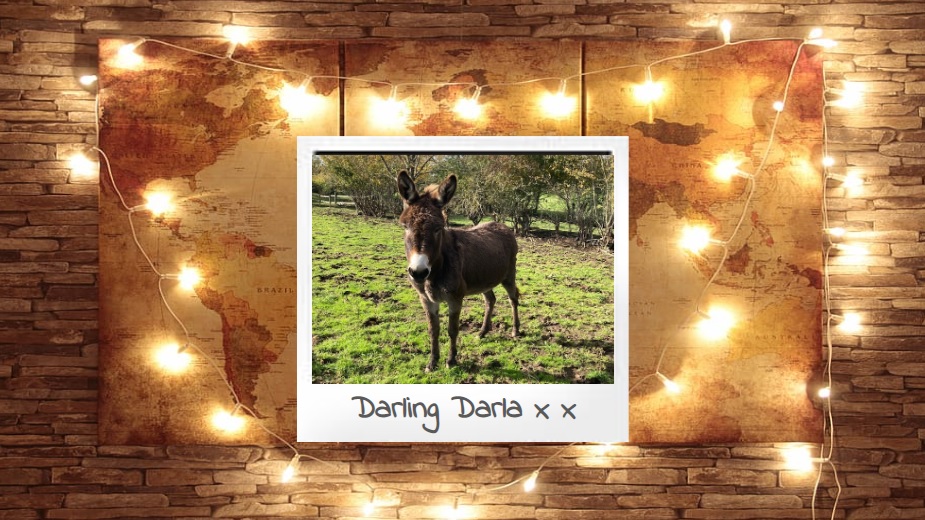 Darla Cover Photo