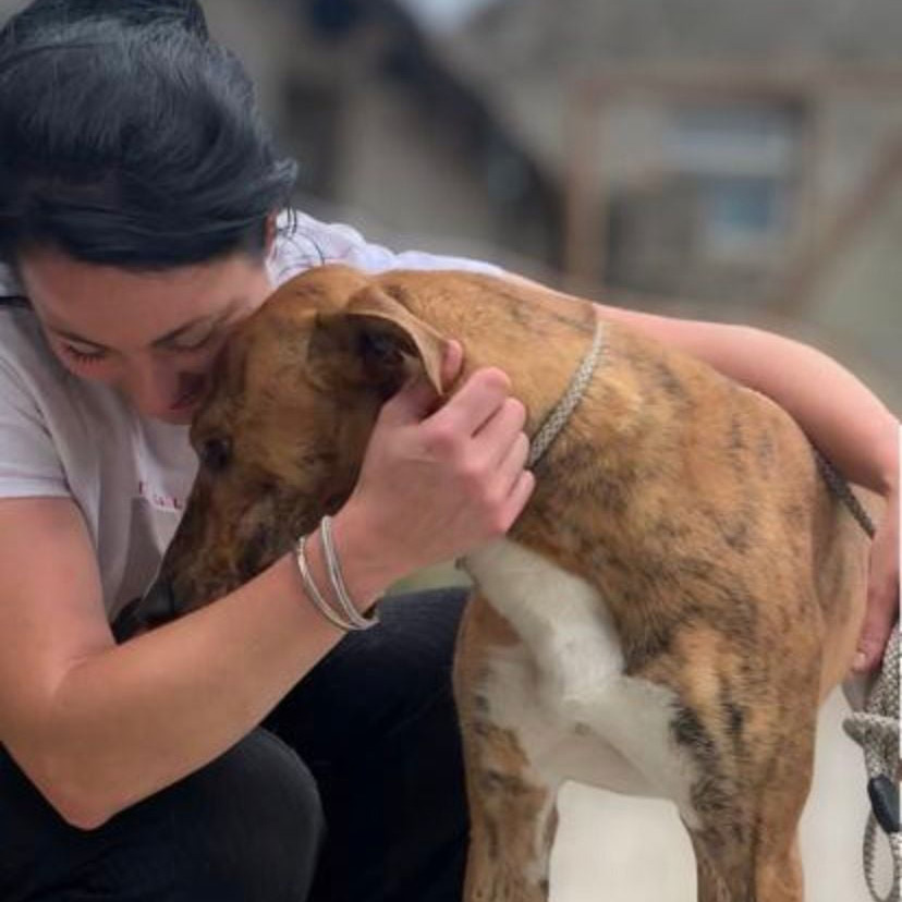 Kennels image