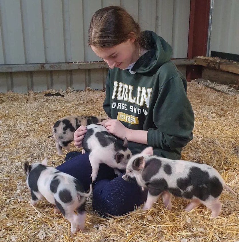 Piglet cuddles