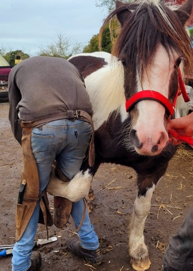 fARRIER