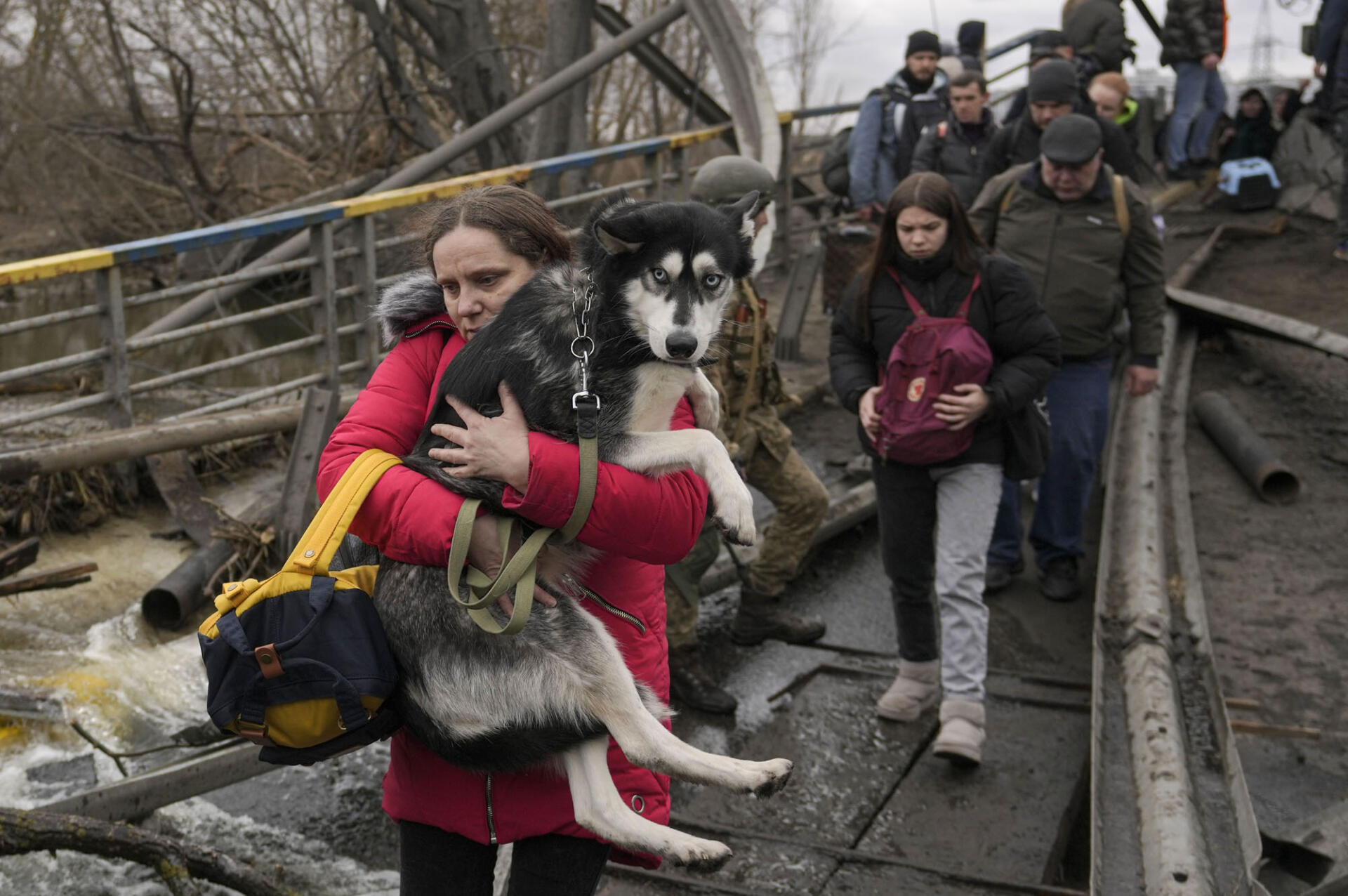 Russia Ukraine War Pets Photo Gallery