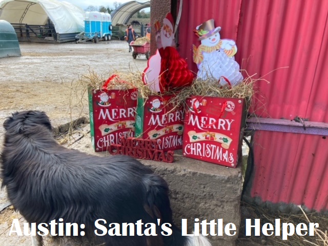 Santas Little Helper
