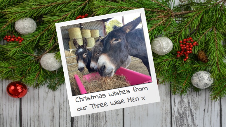 Three Wise Men December