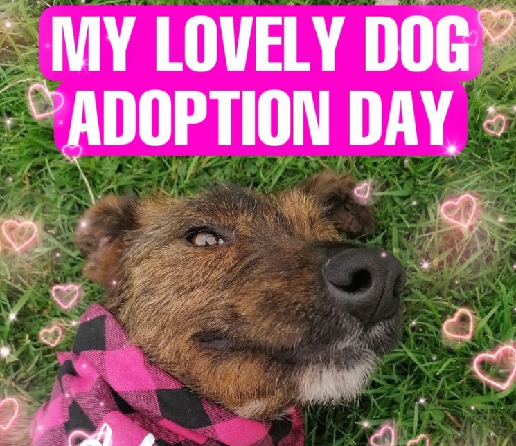 Adoption Day