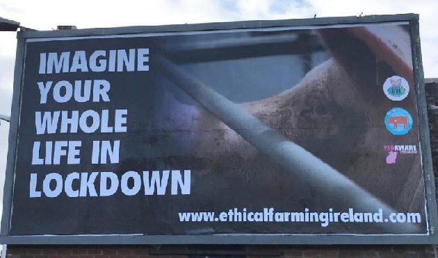 Billboard