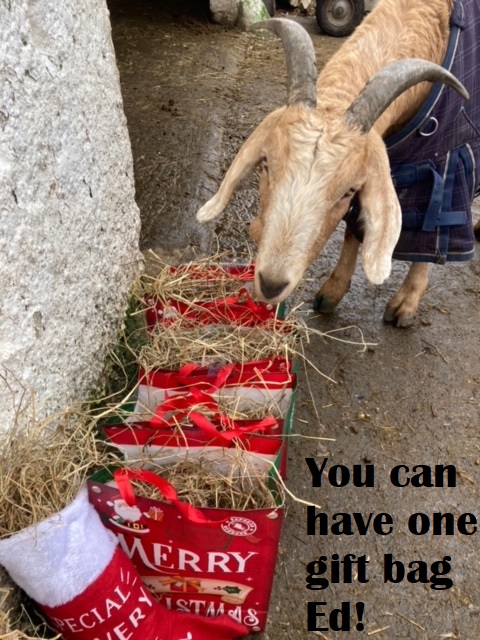 Greedy Ed
