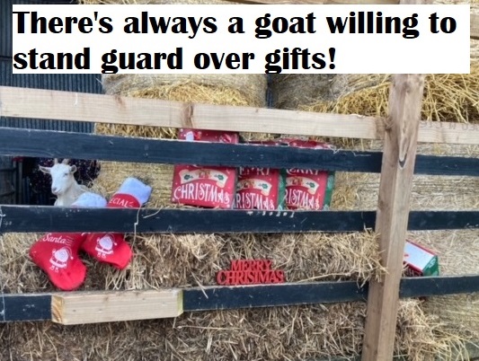 Guarding