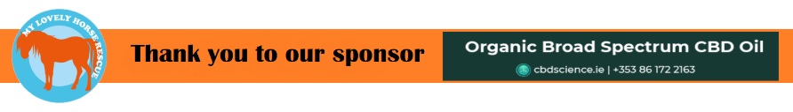 Sponsor